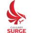 卡尔加里浪涌